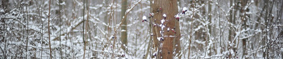 Le Choeur des Ecrins