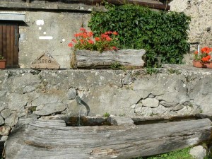 Le bassin